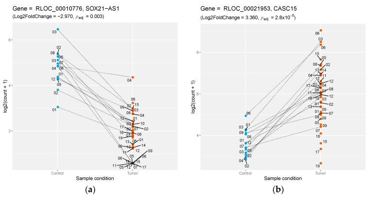 https://cdn.ncbi.nlm.nih.gov/pmc/blobs/ed81/6628375/392ff4a3d9b4/genes-10-00477-g002.jpg