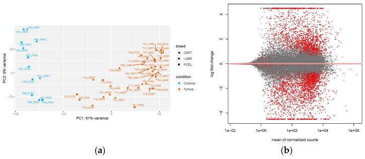 https://cdn.ncbi.nlm.nih.gov/pmc/blobs/ed81/6628375/3c7ff24eb02c/genes-10-00477-g001.jpg