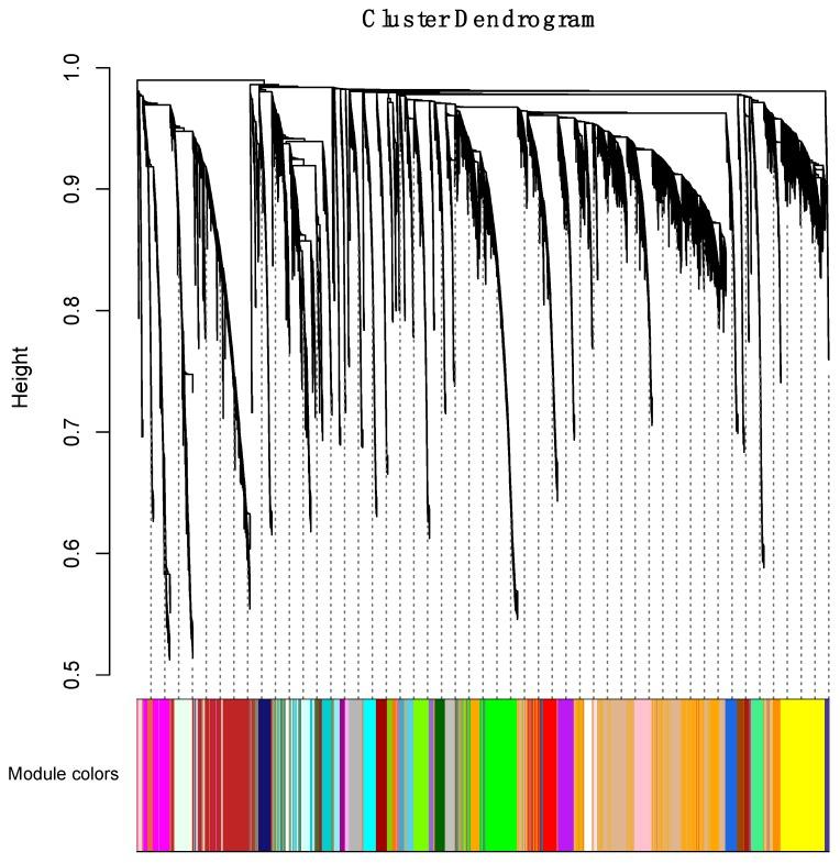 https://cdn.ncbi.nlm.nih.gov/pmc/blobs/ed81/6628375/8ff68be00a78/genes-10-00477-g003.jpg