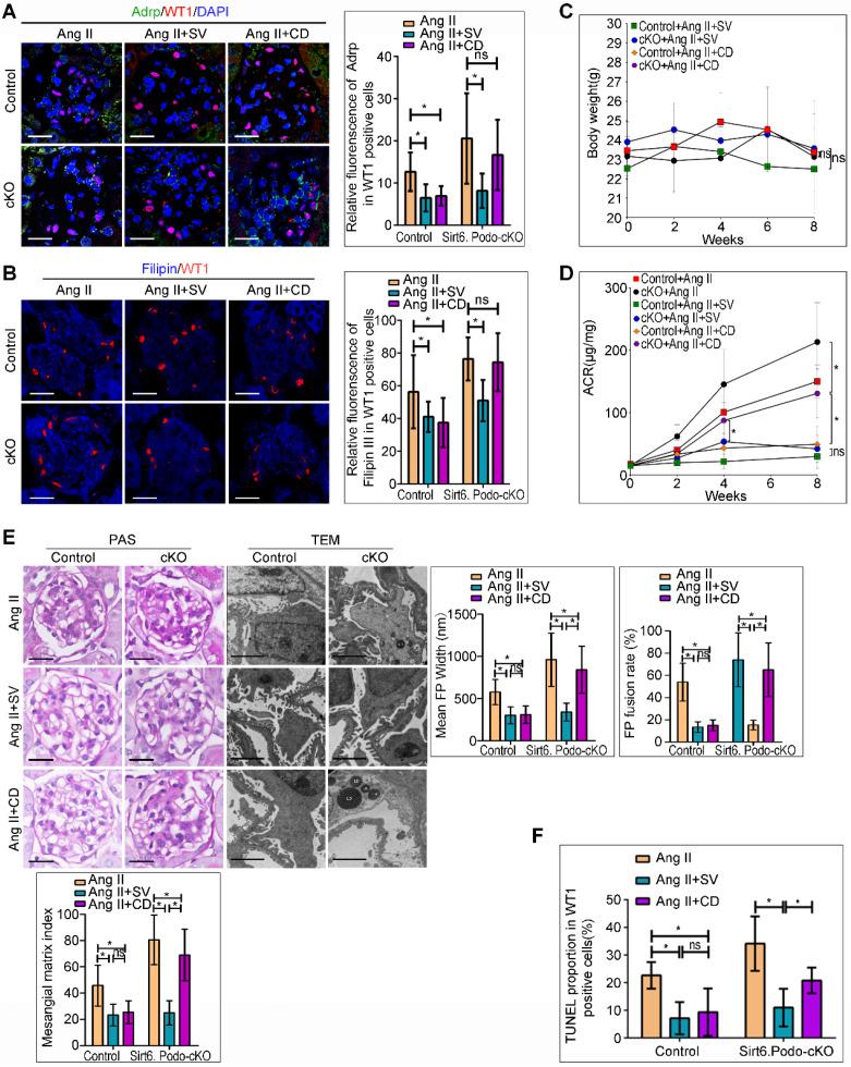 https://cdn.ncbi.nlm.nih.gov/pmc/blobs/ed81/7330847/087b3966def7/thnov10p7465g005.jpg