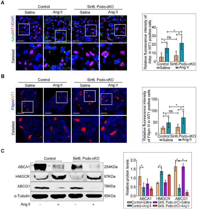 https://cdn.ncbi.nlm.nih.gov/pmc/blobs/ed81/7330847/42221fe17a97/thnov10p7465g004.jpg