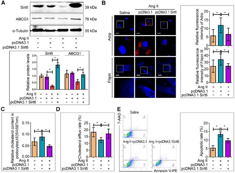 https://cdn.ncbi.nlm.nih.gov/pmc/blobs/ed81/7330847/975d70f0510d/thnov10p7465g007.jpg