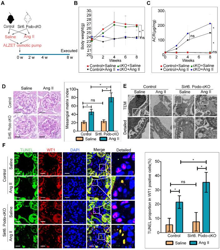 https://cdn.ncbi.nlm.nih.gov/pmc/blobs/ed81/7330847/a35084ff5033/thnov10p7465g003.jpg