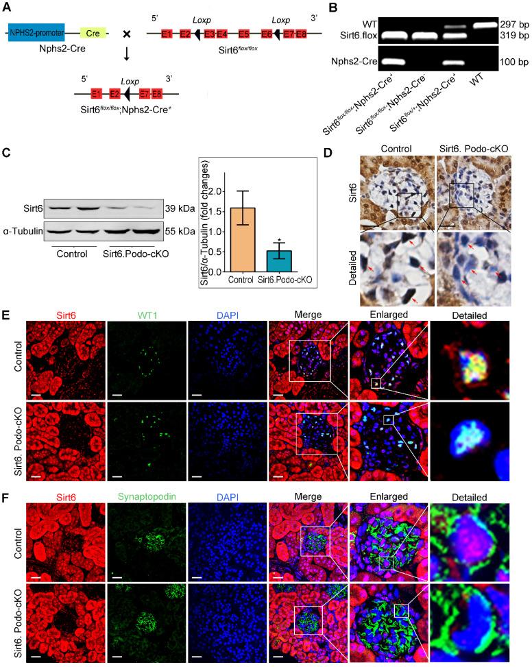 https://cdn.ncbi.nlm.nih.gov/pmc/blobs/ed81/7330847/eaca0414803f/thnov10p7465g002.jpg