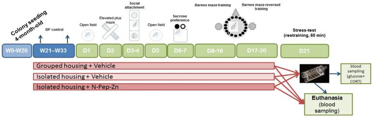 https://cdn.ncbi.nlm.nih.gov/pmc/blobs/ed84/11503999/4f88082a348f/biomedicines-12-02261-g001.jpg