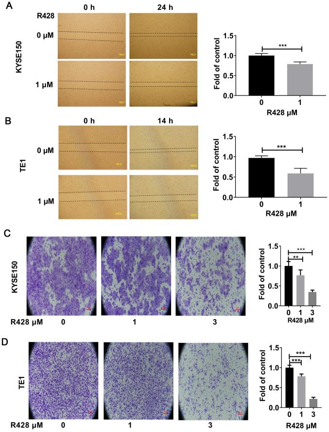 https://cdn.ncbi.nlm.nih.gov/pmc/blobs/ed86/7480165/068994e97e31/etm-20-05-09169-g02.jpg