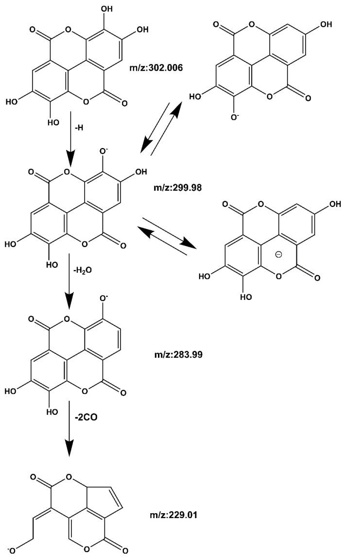 https://cdn.ncbi.nlm.nih.gov/pmc/blobs/ed86/9611113/5b92c52428e2/molecules-27-06893-g007.jpg