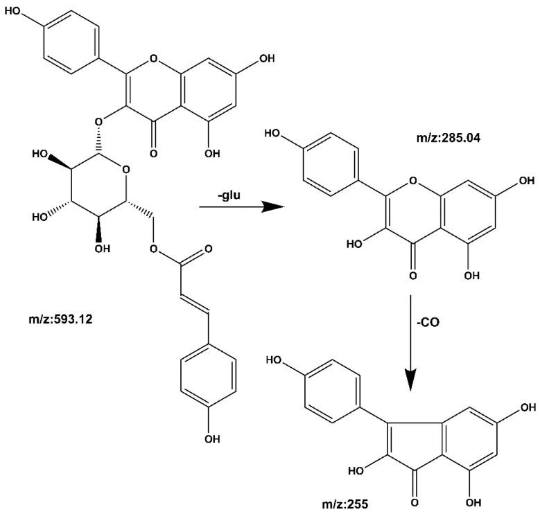 https://cdn.ncbi.nlm.nih.gov/pmc/blobs/ed86/9611113/78fe11868d5f/molecules-27-06893-g012.jpg