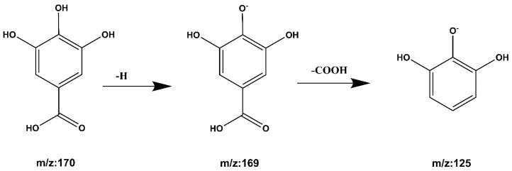 https://cdn.ncbi.nlm.nih.gov/pmc/blobs/ed86/9611113/80f56ce01d2c/molecules-27-06893-g009.jpg