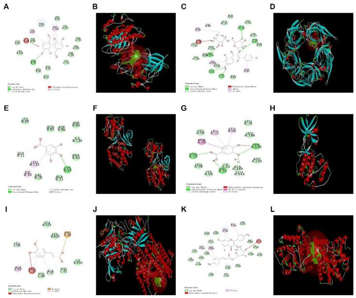 https://cdn.ncbi.nlm.nih.gov/pmc/blobs/ed86/9611113/d60b9eb8497b/molecules-27-06893-g014.jpg