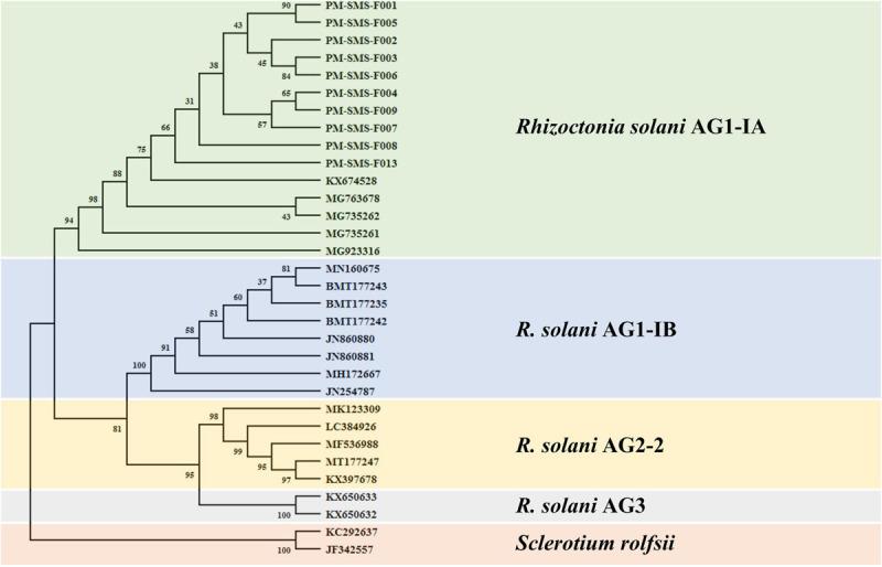https://cdn.ncbi.nlm.nih.gov/pmc/blobs/ed87/7829186/1c3ea2781e60/fpls-11-552916-g002.jpg