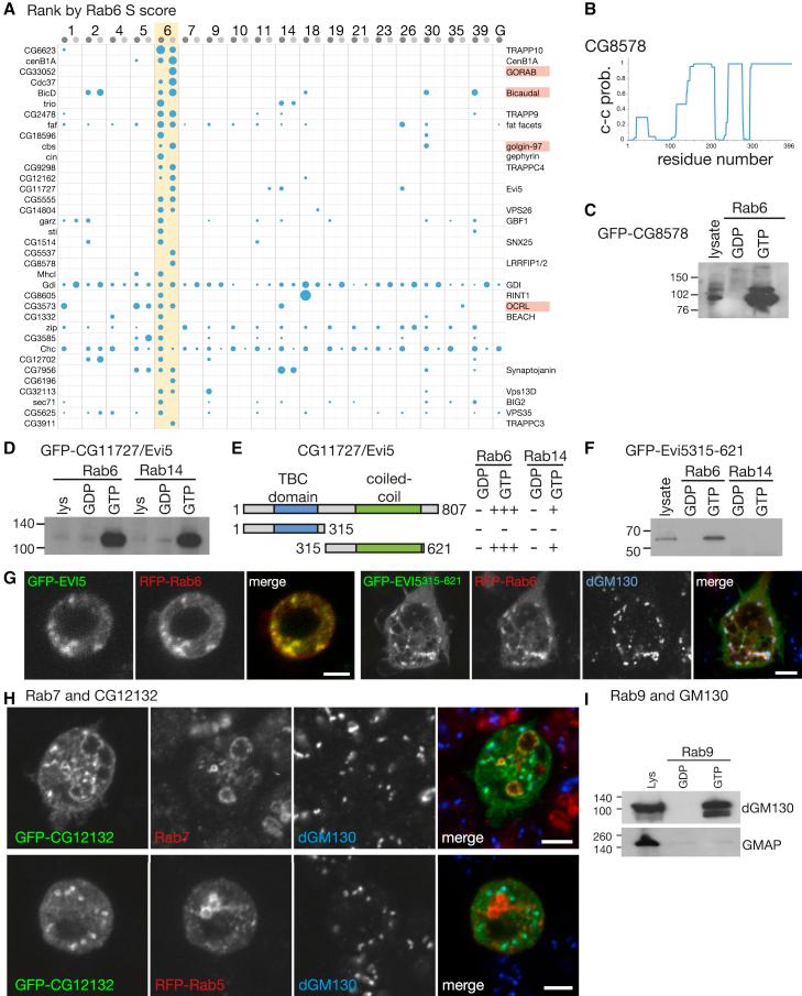 https://cdn.ncbi.nlm.nih.gov/pmc/blobs/ed88/4232348/122f2dce1903/gr5.jpg