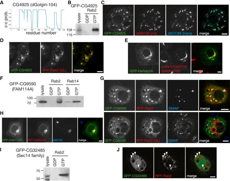 https://cdn.ncbi.nlm.nih.gov/pmc/blobs/ed88/4232348/bd8c63116709/gr3.jpg