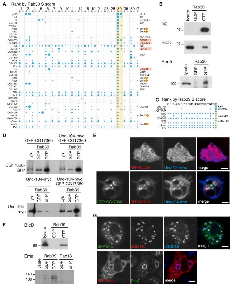 https://cdn.ncbi.nlm.nih.gov/pmc/blobs/ed88/4232348/de36f10ab7f6/gr7.jpg