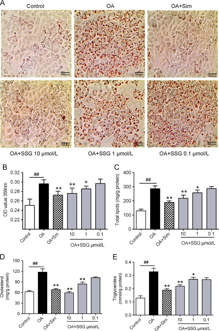 https://cdn.ncbi.nlm.nih.gov/pmc/blobs/ed8a/5518665/412373c08182/gr2.jpg