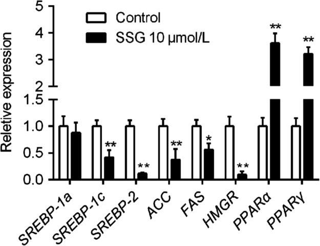 https://cdn.ncbi.nlm.nih.gov/pmc/blobs/ed8a/5518665/9c0ce60dec80/gr7.jpg