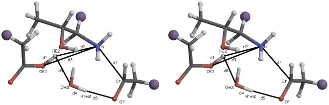 https://cdn.ncbi.nlm.nih.gov/pmc/blobs/ed8b/3285167/33a99091ced4/pone.0031377.g009.jpg