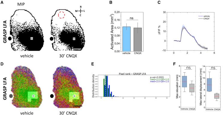 https://cdn.ncbi.nlm.nih.gov/pmc/blobs/ed8c/10073205/63d2145b26fb/gr7.jpg