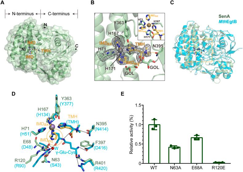 https://cdn.ncbi.nlm.nih.gov/pmc/blobs/ed8d/11237966/44fa7516c8bd/gr3.jpg