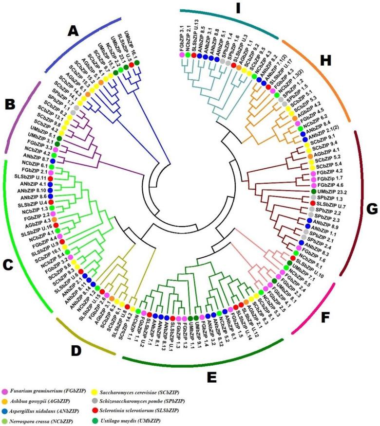 https://cdn.ncbi.nlm.nih.gov/pmc/blobs/ed90/9028111/134dd14e6d61/genes-13-00607-g002.jpg