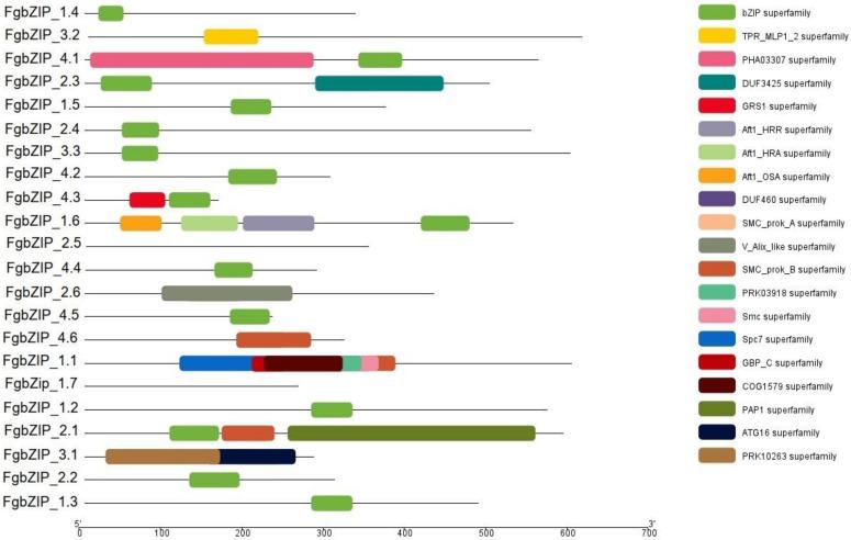 https://cdn.ncbi.nlm.nih.gov/pmc/blobs/ed90/9028111/1ebd7d96871e/genes-13-00607-g005.jpg
