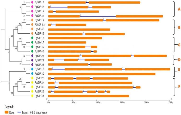 https://cdn.ncbi.nlm.nih.gov/pmc/blobs/ed90/9028111/6277e11dc202/genes-13-00607-g004.jpg
