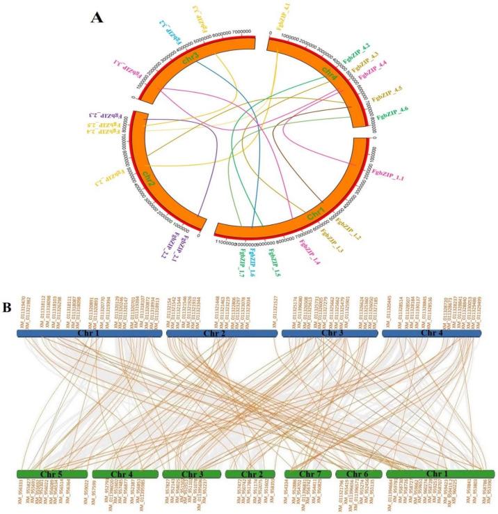 https://cdn.ncbi.nlm.nih.gov/pmc/blobs/ed90/9028111/bf4275fe80bd/genes-13-00607-g009.jpg