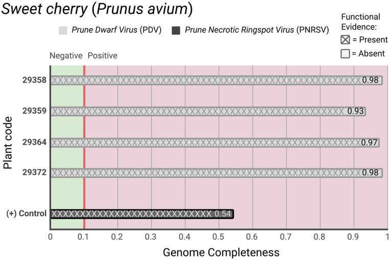 https://cdn.ncbi.nlm.nih.gov/pmc/blobs/ed91/12267180/e059bf7baddb/fmicb-16-1609663-g002.jpg
