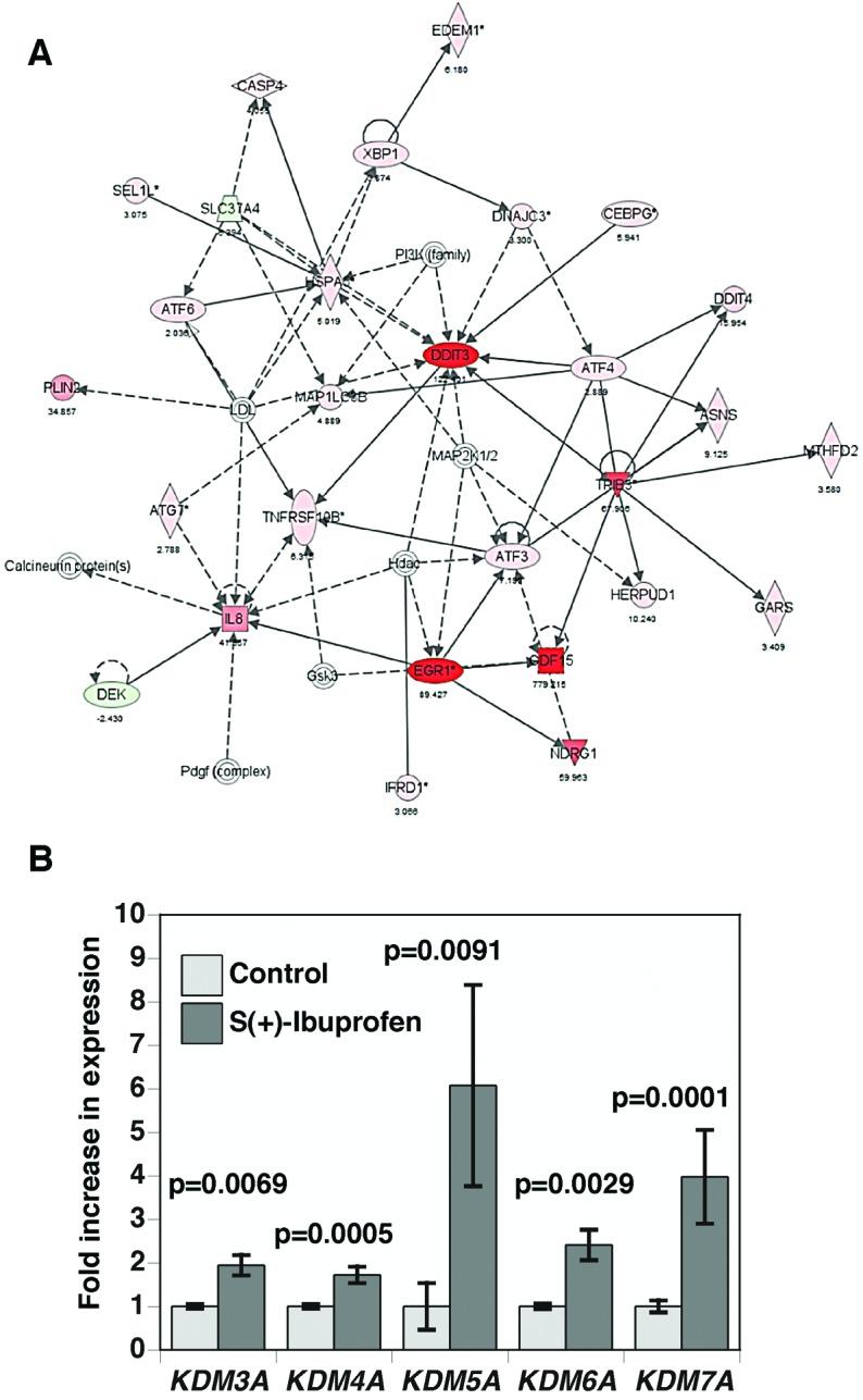 https://cdn.ncbi.nlm.nih.gov/pmc/blobs/ed92/3867363/3ade841d44f4/IJO-44-01-0035-g04.jpg