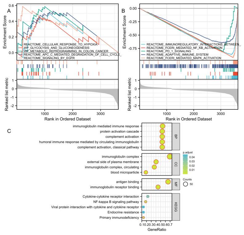 https://cdn.ncbi.nlm.nih.gov/pmc/blobs/ed92/9454905/61ad3b488f52/cancers-14-04099-g006.jpg