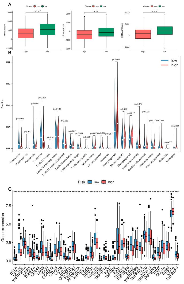 https://cdn.ncbi.nlm.nih.gov/pmc/blobs/ed92/9454905/7df1f3d72f09/cancers-14-04099-g007.jpg
