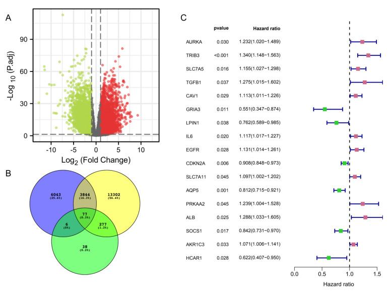 https://cdn.ncbi.nlm.nih.gov/pmc/blobs/ed92/9454905/87a87acb9e17/cancers-14-04099-g002.jpg