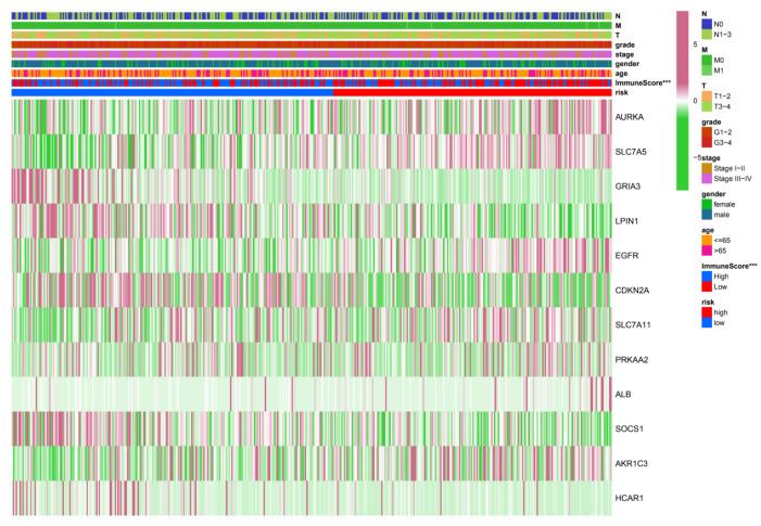 https://cdn.ncbi.nlm.nih.gov/pmc/blobs/ed92/9454905/d9e6c44d9166/cancers-14-04099-g005.jpg