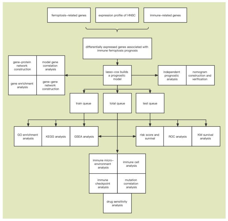 https://cdn.ncbi.nlm.nih.gov/pmc/blobs/ed92/9454905/f300b89b2693/cancers-14-04099-g001.jpg