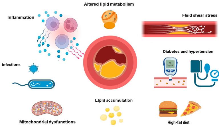 https://cdn.ncbi.nlm.nih.gov/pmc/blobs/ed93/12295045/4cafa2bb9bdf/ijms-26-06950-g001.jpg
