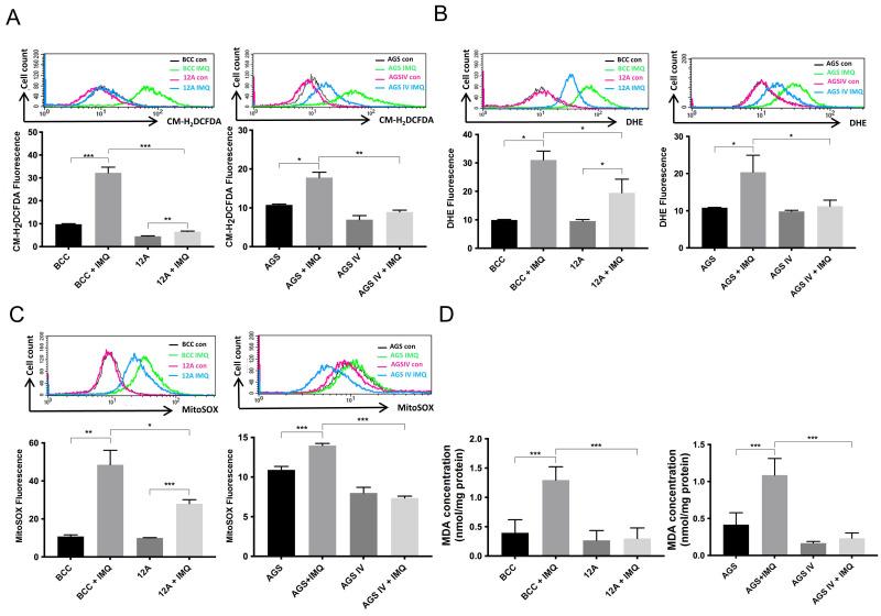 https://cdn.ncbi.nlm.nih.gov/pmc/blobs/ed95/11394135/be5aee2f1df9/cancers-16-03060-g002.jpg