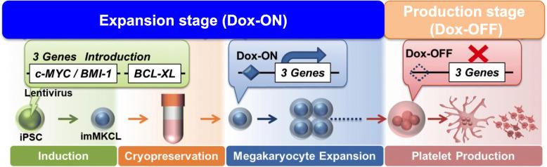 https://cdn.ncbi.nlm.nih.gov/pmc/blobs/ed96/7708911/c06d180bfcff/41232_2020_139_Fig1_HTML.jpg