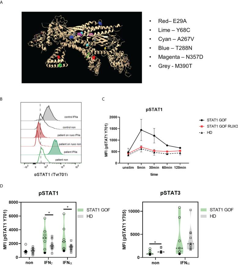 https://cdn.ncbi.nlm.nih.gov/pmc/blobs/ed96/9510987/037a133270ac/fimmu-13-983977-g001.jpg