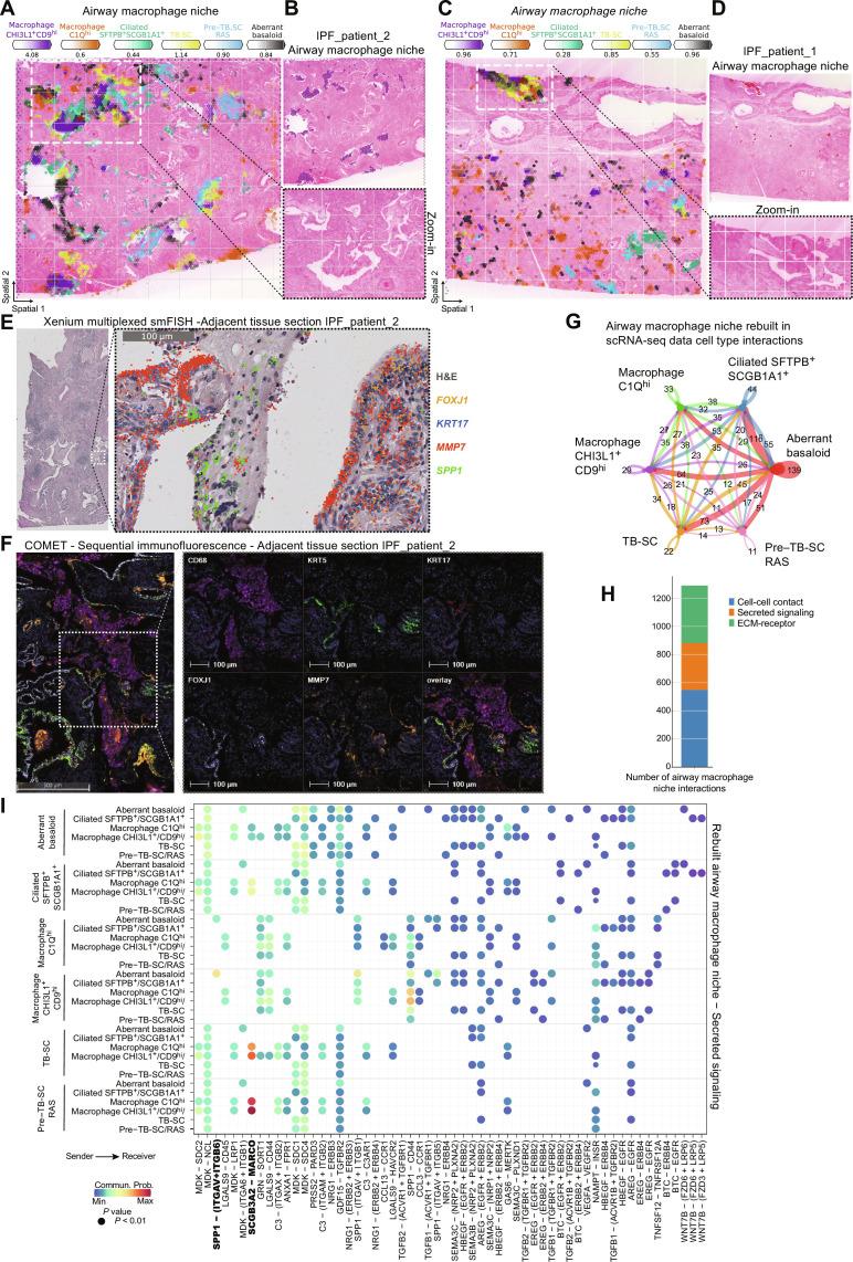 https://cdn.ncbi.nlm.nih.gov/pmc/blobs/ed98/11313858/56899d4a22dd/sciadv.adl5473-f4.jpg