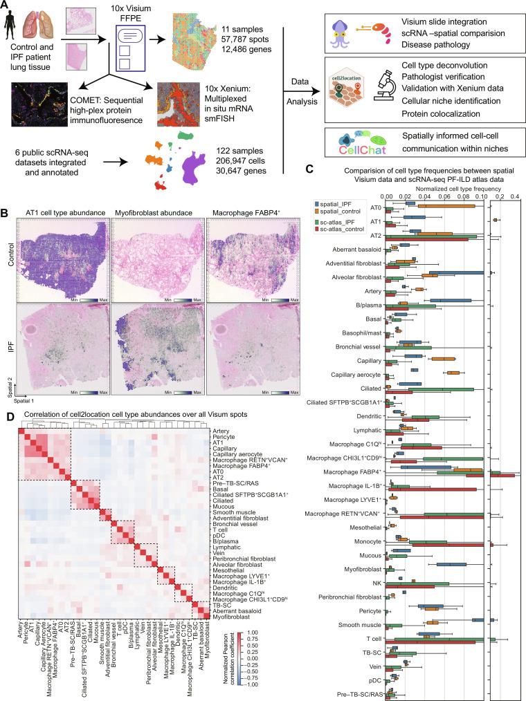 https://cdn.ncbi.nlm.nih.gov/pmc/blobs/ed98/11313858/a6760965fedd/sciadv.adl5473-f1.jpg