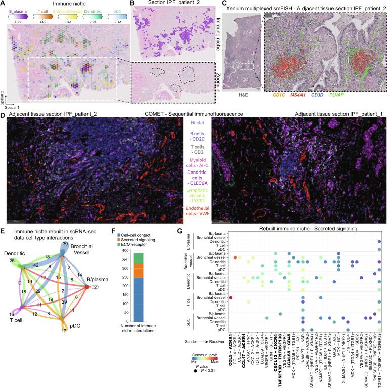 https://cdn.ncbi.nlm.nih.gov/pmc/blobs/ed98/11313858/acfb4b96ff09/sciadv.adl5473-f5.jpg