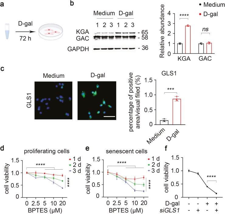 https://cdn.ncbi.nlm.nih.gov/pmc/blobs/ed98/11886818/5ab284b45559/glae294_fig1.jpg