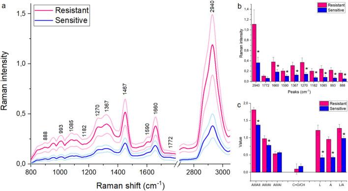 https://cdn.ncbi.nlm.nih.gov/pmc/blobs/ed9b/10679116/63e97e0ba75e/41598_2023_48169_Fig1_HTML.jpg