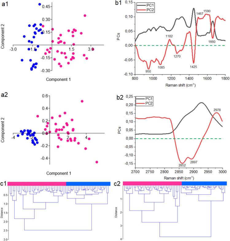 https://cdn.ncbi.nlm.nih.gov/pmc/blobs/ed9b/10679116/d73f6cd3f2b5/41598_2023_48169_Fig2_HTML.jpg