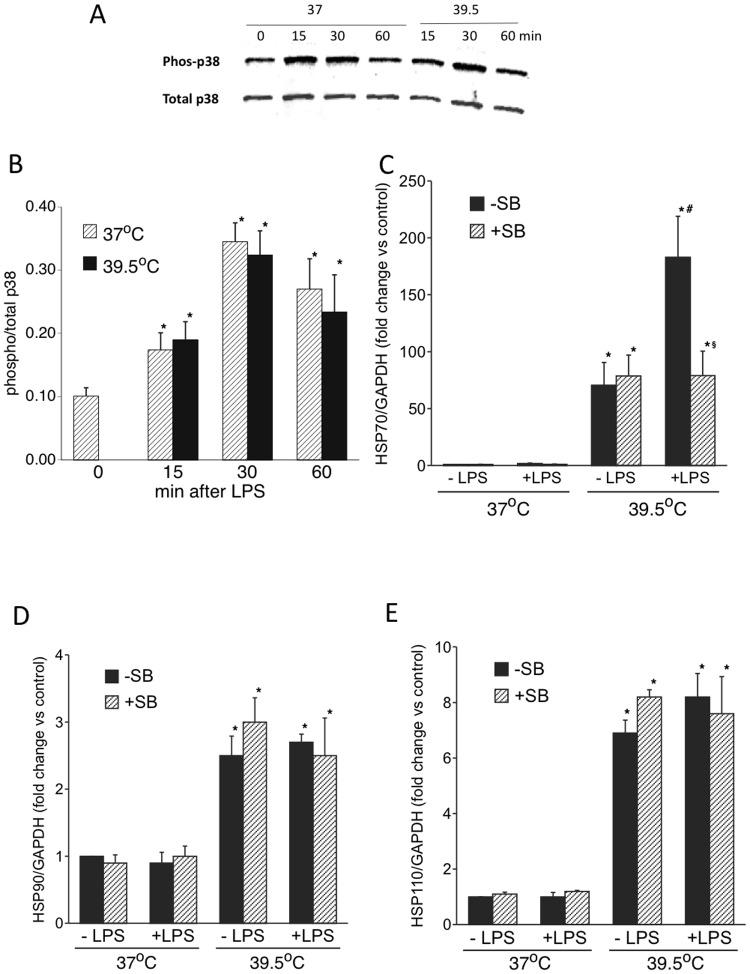 https://cdn.ncbi.nlm.nih.gov/pmc/blobs/ed9b/4320107/7093bdbe0af4/pone.0118010.g002.jpg