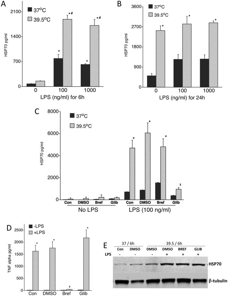 https://cdn.ncbi.nlm.nih.gov/pmc/blobs/ed9b/4320107/92b743f24d4e/pone.0118010.g003.jpg