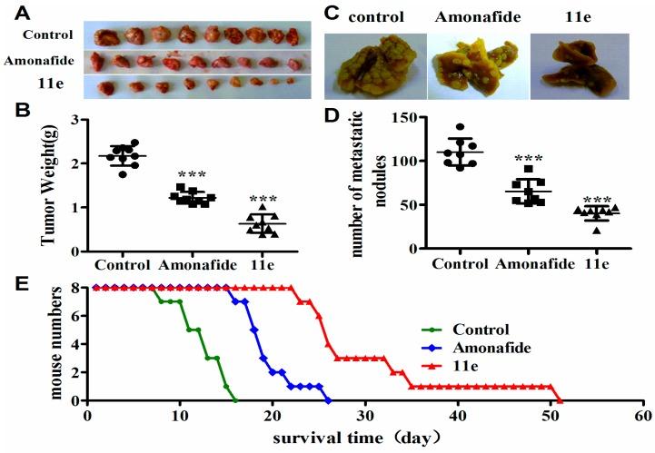 https://cdn.ncbi.nlm.nih.gov/pmc/blobs/ed9c/6273765/b1f1a7bb5356/molecules-21-01637-g004.jpg