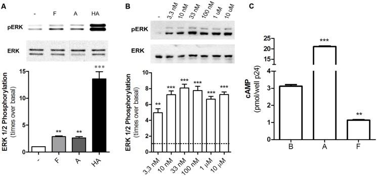 https://cdn.ncbi.nlm.nih.gov/pmc/blobs/ed9d/4354273/a8332083cb17/fphar-06-00045-g005.jpg