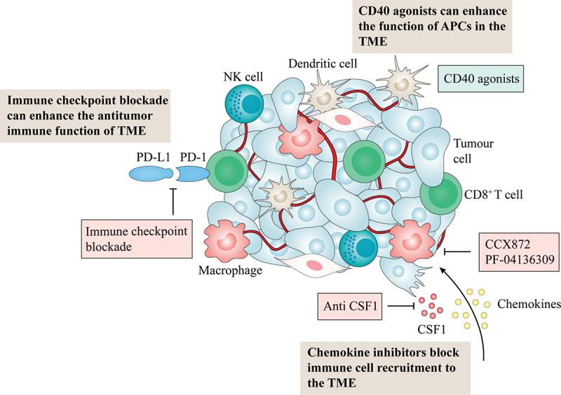 https://cdn.ncbi.nlm.nih.gov/pmc/blobs/ed9e/10760365/324de6f36a05/KHVI_A_2269794_F0008_OC.jpg