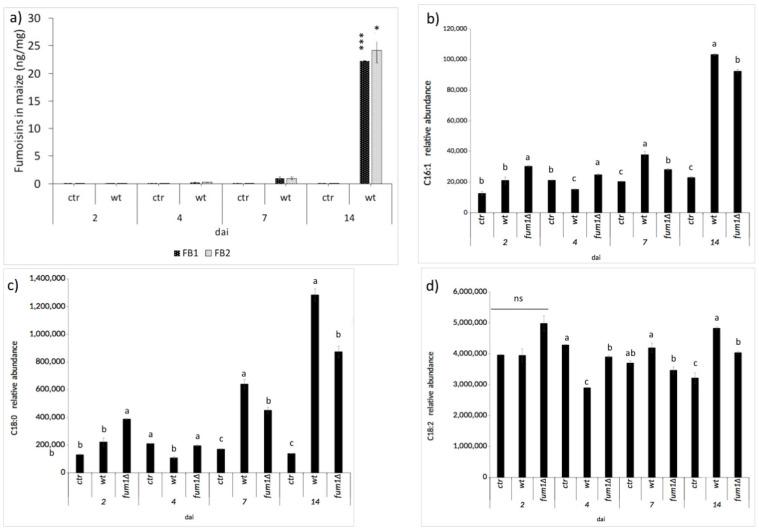 https://cdn.ncbi.nlm.nih.gov/pmc/blobs/ed9f/7957515/223570cc74fc/ijms-22-02435-g003.jpg